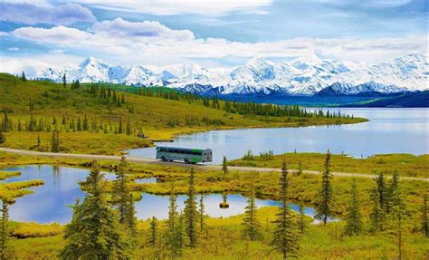 Fairbanks & Denali Backcountry Northern Lights Escape - Alaska