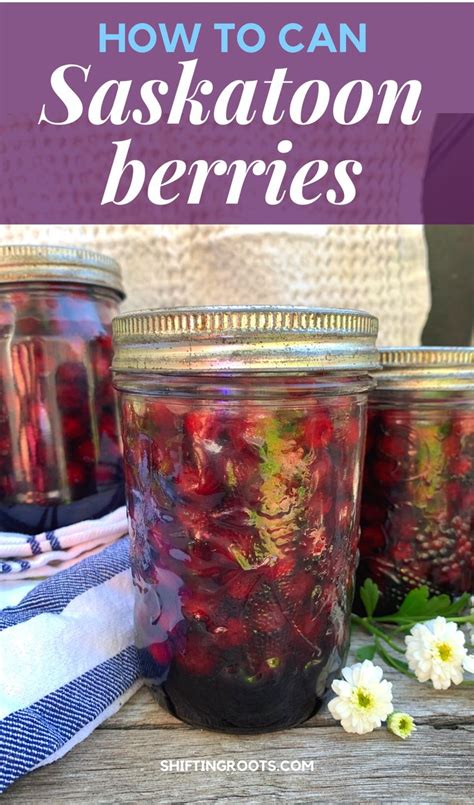 How to Can Saskatoon Berries | SHIFTING ROOTS | Recipe in 2021 | Saskatoon berry, Saskatoon ...