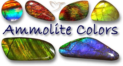 Ammolite Gemstones - A rare rainbow of colors from the Rockies