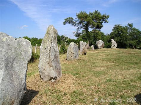 Crucuno Cromlech [Crucuno quadrilatère, Parc er Vinglas] Stone Circle : The Megalithic Portal ...