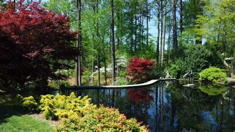 A gorgeous spring walk at Duke Gardens - ABC11 Raleigh-Durham