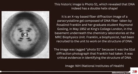 Photo 51 of the DNA Double Helix by Rosalind Franklin | 360 On History