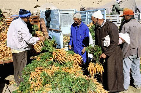 Sunday souk. Taroudant. Morocco – License image – 70142548 lookphotos