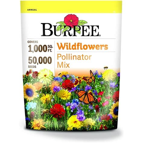 200 Seedsbag Ratoon Wildflower Mix Seeds Easy To Grow