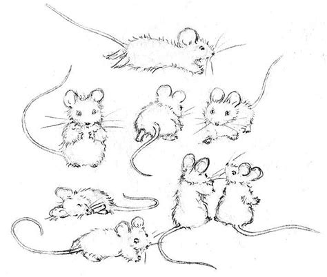 Learn How to Draw a Mouse With This FREE Tutorial | Animal drawings, Mouse illustration, Drawings