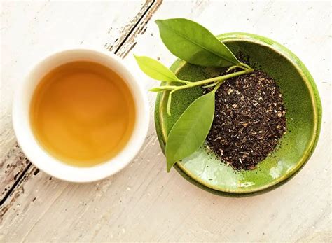 Top 17 Best Loose Leaf Green Tea Reviews 2021