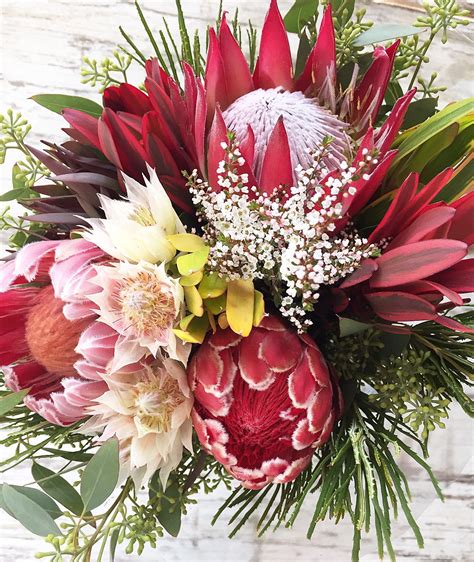 King Bouquet | Flower arrangements, Protea flower, Bouquet