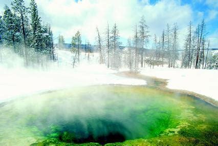 Norris Geyser Basin, Yellowstone National Park | Ticket Price | Timings | Address: TripHobo