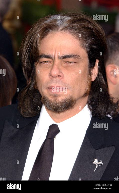 Benicio del toro arriving at the 76th annual academy awards hi-res stock photography and images ...