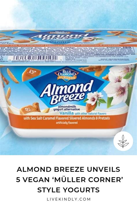 Almond Breeze Unveils 5 Vegan 'Müller Corner' Style Yogurts | Almond breeze, Dairy free yogurt ...