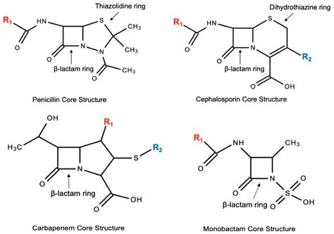 Pharmacy | Free Full-Text | Cephalosporins: A Focus on Side Chains and β-Lactam Cross-Reactivity