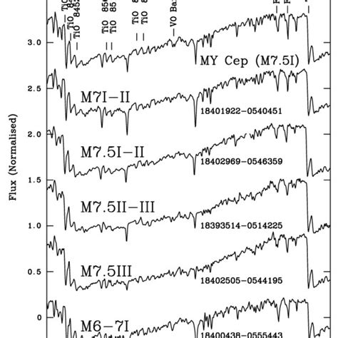 A sample of late M-type stars, illustrating the characteristics used... | Download Scientific ...