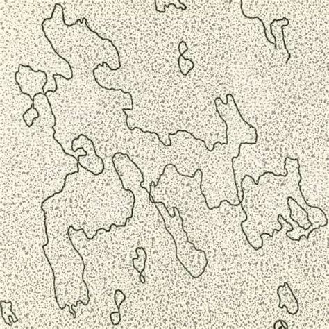 DNA-chloroplast.html 09_06-DNA-chloroplast.jpg