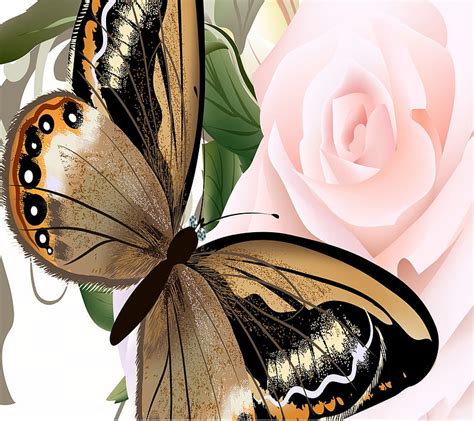 Butterfly, and rose, HD wallpaper | Peakpx