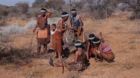 Botswana,bushman,group,collect,indigenous culture - free image from ...