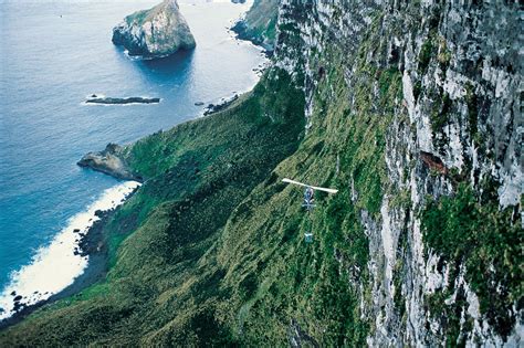 Eradication—The Clearance of Campbell Island | New Zealand Geographic