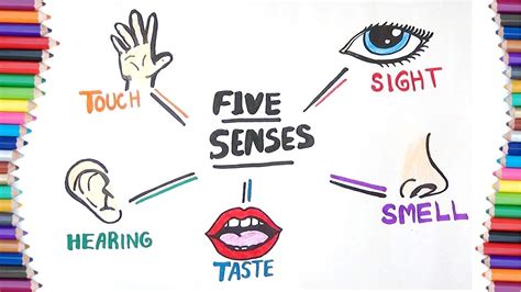 5 SENSES | HOW TO DRAW - YouTube