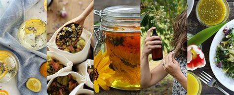 Our Top Ten Herbal Recipes of 2019