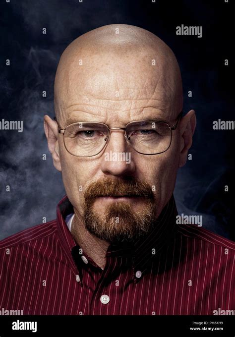 Walter White (Bryan Cranston) - Breaking Bad - Season 4 Stock Photo - Alamy