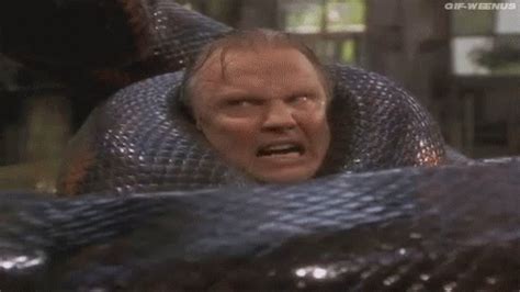 Snake Anaconda GIF - Snake Anaconda JonVoight - Discover & Share GIFs