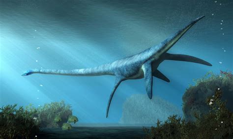 Elasmosaurus Animal Facts | †Elasmosaurus platyurus - Wiki Point