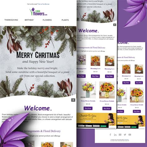 Klaviyo Newsletter Templates