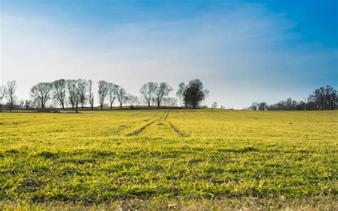 Página 6 | Imágenes de Fondo Pueblo Campo - Descarga gratuita en Freepik