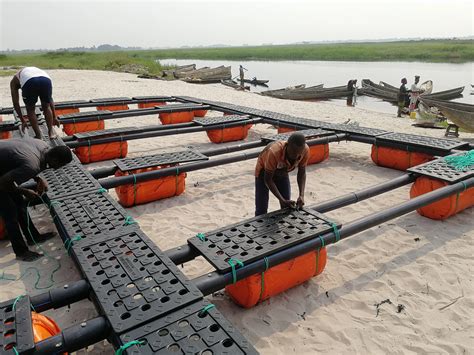 Hdpe Fish Farming Net Aquaculture Equipment Fish Farm For Grouper Fish Farm - Buy Grouper Fish ...