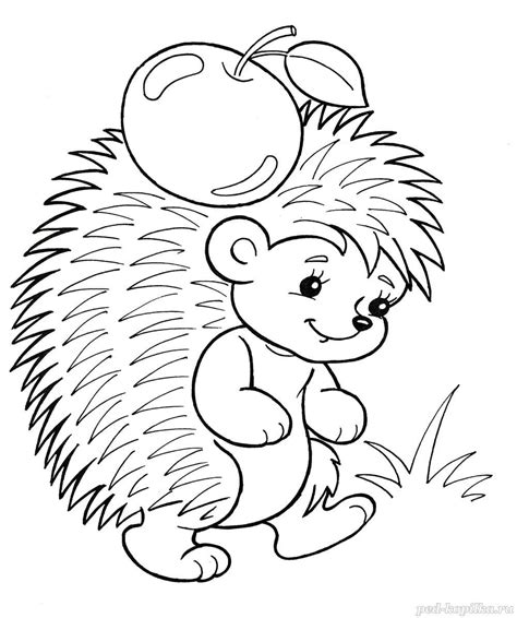 Coloring Pages Of A Hedgehog