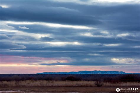 Bosque del Apache in Photographs | Photography by Elizabeth Gray