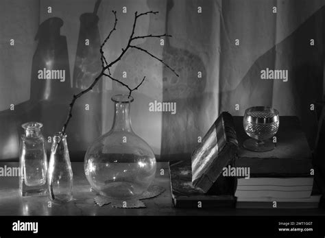 books with glass vases still life, black and white, reading, education ...