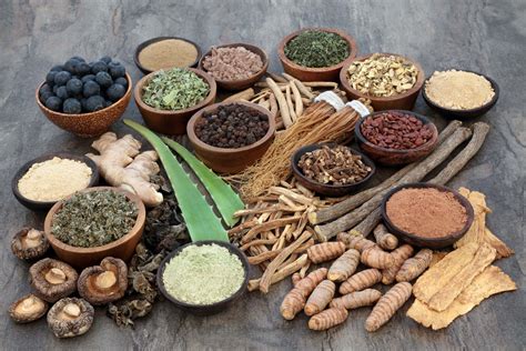 What Are Adaptogens? Types, Usages, & Potential Benefits