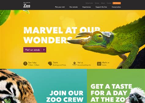 Wellington Zoo - Awwwards Honorable Mention