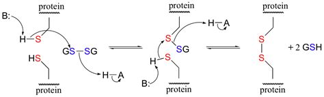 Any advice in forming disulfide bond between two proteins? | ResearchGate