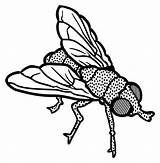 Flying clipart Outline Transparent FREE For Download On  sketch template