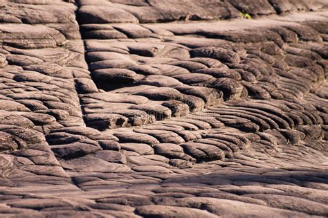 Sedimentary Sandstone Layers Stock Photo - Image of ribs, pattern: 48263506