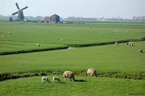 De Beemster Polder: idyllisch UNESCO erfgoed in Nederland - travelwriter.nl