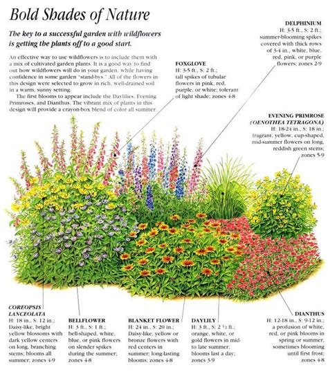 flower bed plans - Google Search | Wildflower garden, Garden layout, Garden