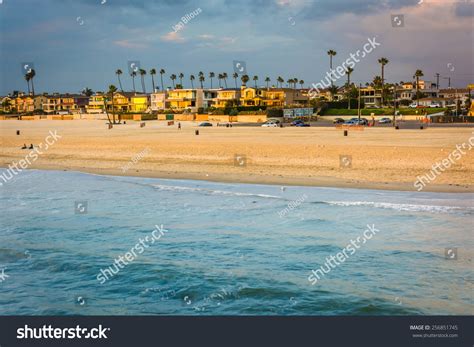 78,770 Seal beach Images, Stock Photos & Vectors | Shutterstock