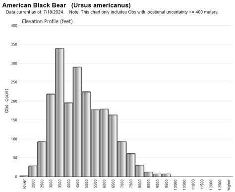 Black Bear - Montana Field Guide