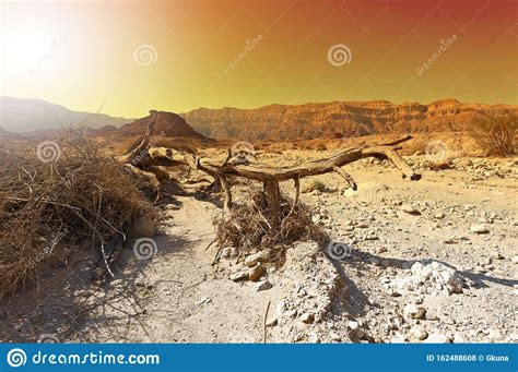 Colorful Desert in Israel stock photo. Image of dune - 162488608