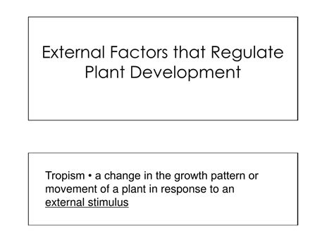 PPT - Plant Growth and Development PowerPoint Presentation, free ...