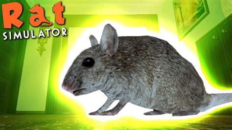 Rat Simulator Launches on PC - HRK Newsroom