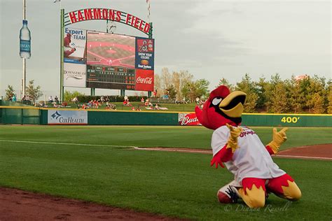 Hammons Field wins Field of the Year | ArchCity.Media