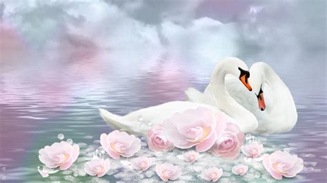 Swan Wallpapers - Top Free Swan Backgrounds - WallpaperAccess