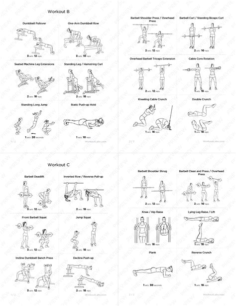 Full Body Gym Workout Pack for Beginners