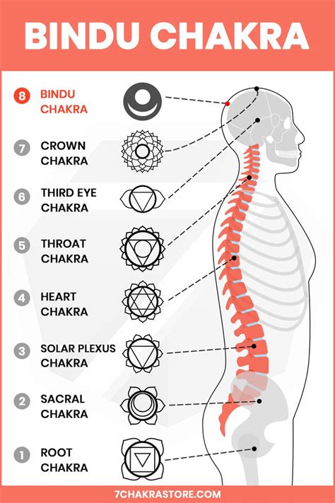 Bindu Chakra | 8th Chakra Meaning | Chakra meanings, Chakra for ...