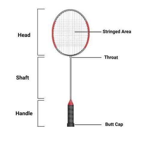 label the parts of badminton racket - Brainly.ph