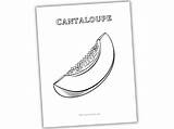 cantaloupe coloring Page  The Purposeful Nest sketch template