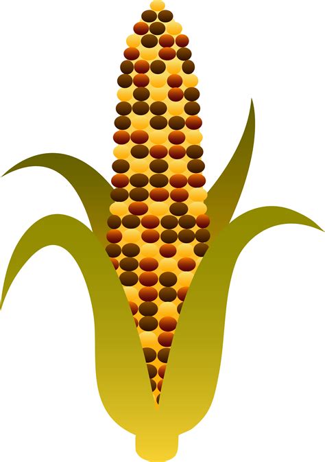 corn black and white clipart - Clip Art Library